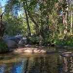 Sierra Springs