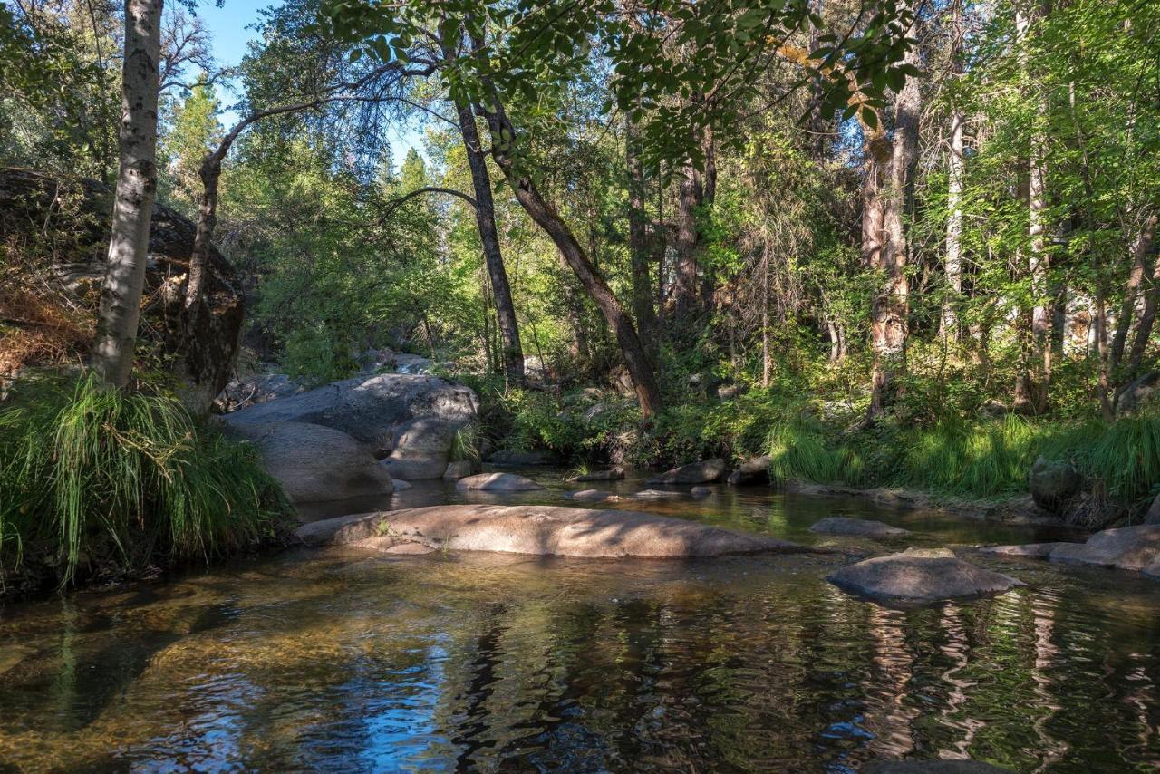 Sierra Springs